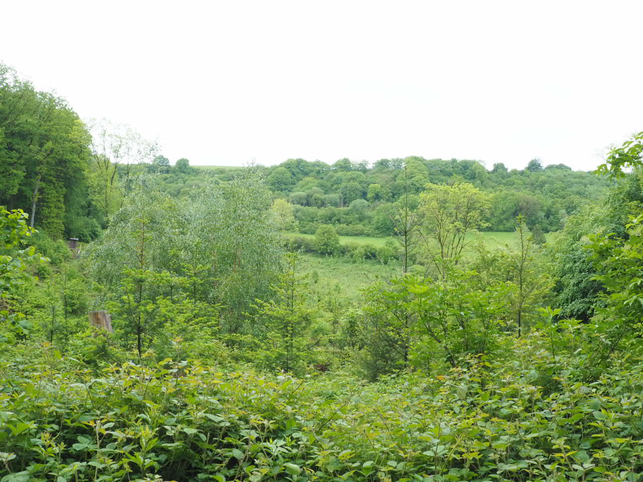Mooi groen